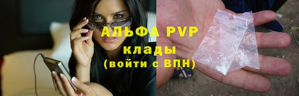 мет Алексин