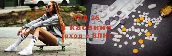 мет Алексин