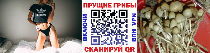 Галлюциногенные грибы Magic Shrooms  Льгов 